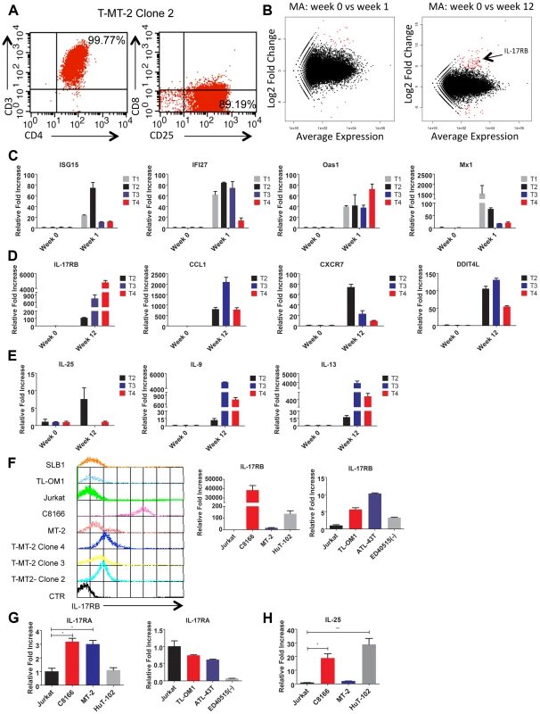 IL-17RB is overexpressed in HTLV-1 immortalized T cell clones and transformed cell lines.