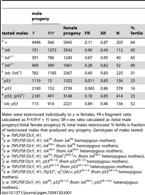 <i>FrY</i> recovery from wildtype and mutant males (38° 1 hr. heat shock at 0–24 hours of development).