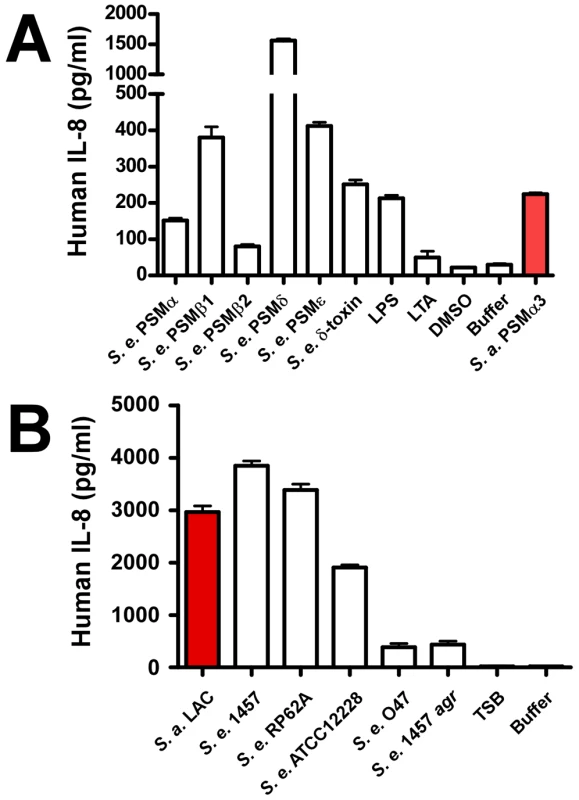 IL-8 release by neutrophils stimulated by <i>S. epidermidis</i> PSMs and culture filtrates.