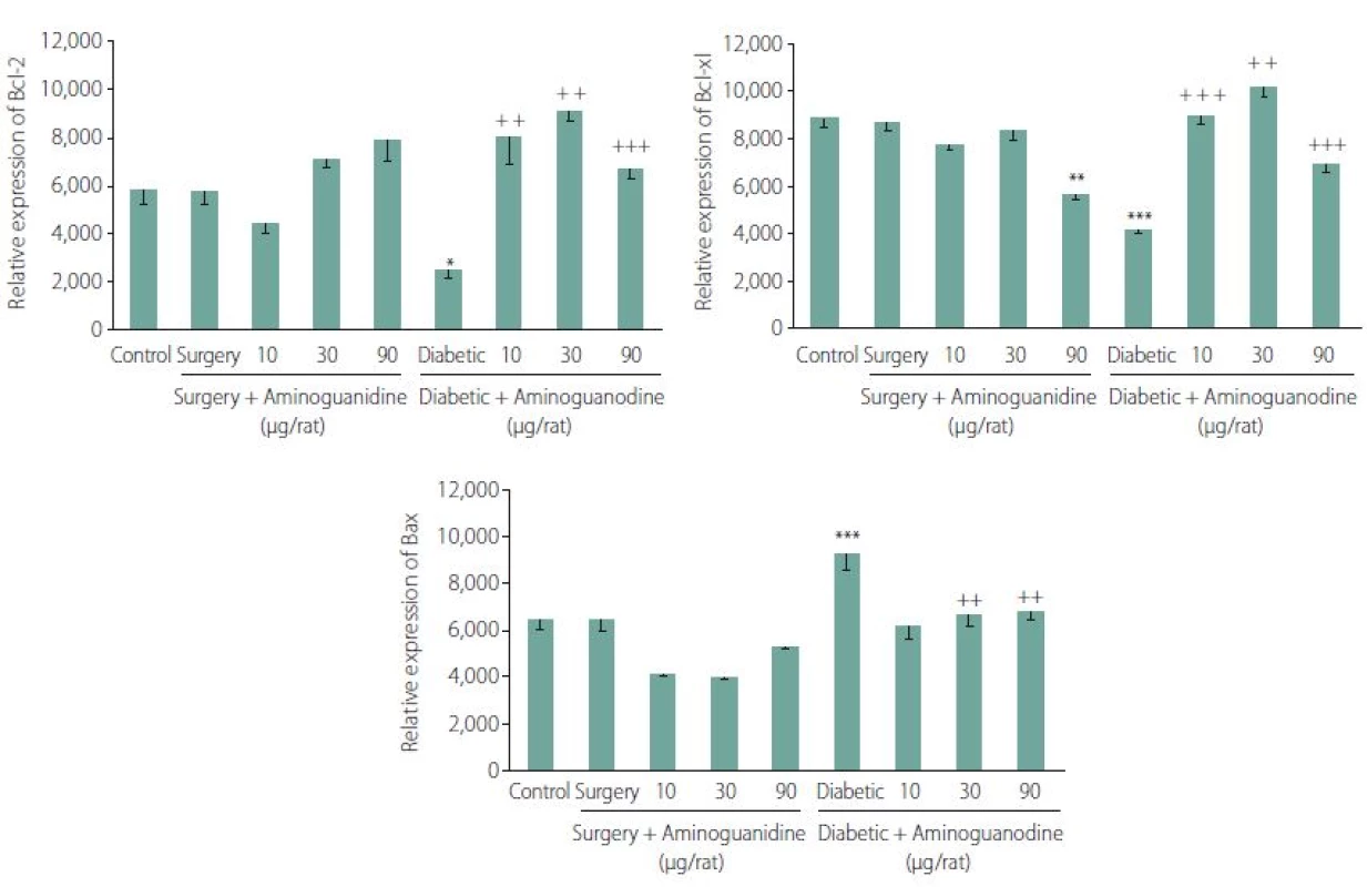 Effect of seven-day intra-hippocampal injections of three different doses of aminoguanidine (AG) on the Bcl-2 (A), the Bcl-xl (B) and the Bax mRNA in a rat hippocampus. Expression analyses were performed by RT-PCR and the products (10 ll) were visualized following 1.5% agarose gel electrophoresis (all amplifications were repeated three times). The data are expressed as the mean ± SEM.
* P < 0.05, ** P < 0.01 and *** P < 0.001 compared with the control group. ++ P < 0.01 and +++ P < 0.001 compared with the diabetic group.