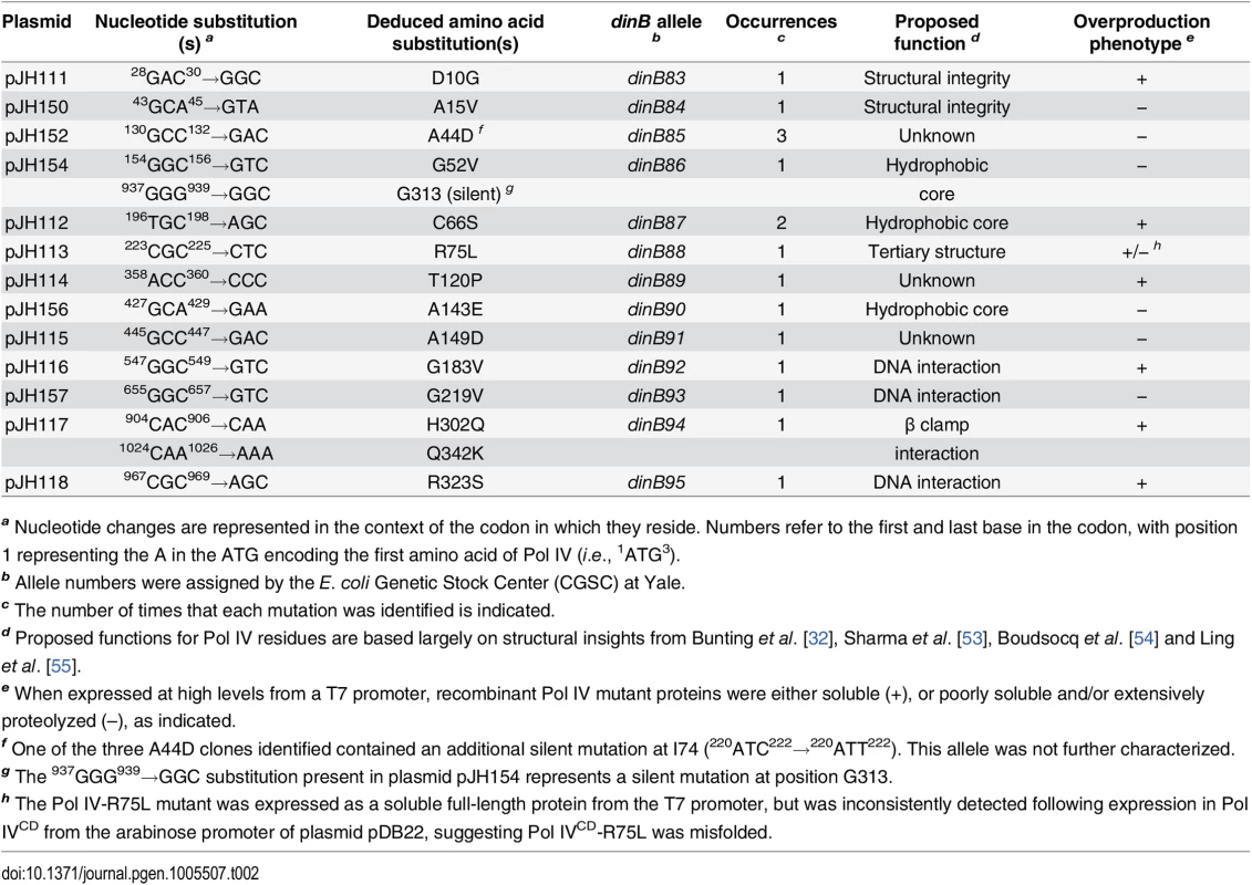 Summary of novel <i>dinB</i> alleles.