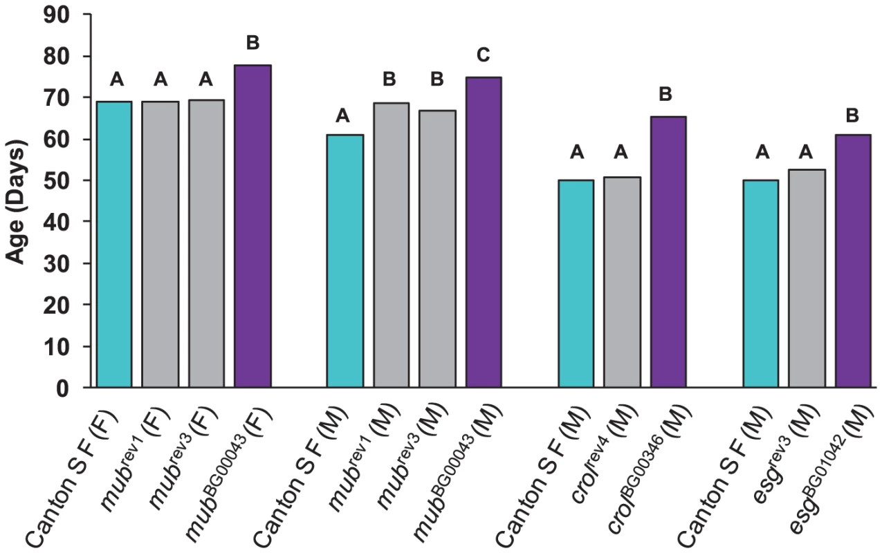 Analysis of revertant alleles.