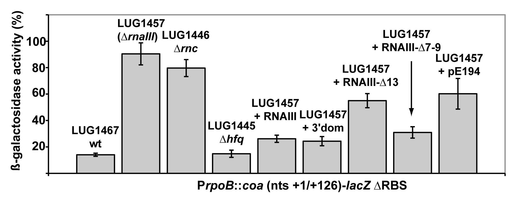 RNAIII-dependant regulation of <i>coa</i> mRNA <i>in vivo</i>.