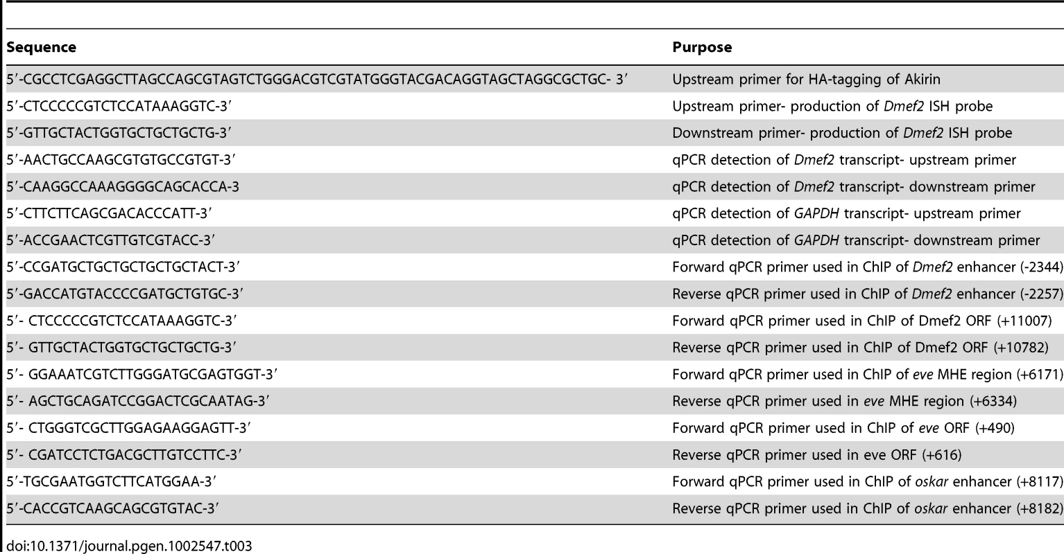 Primers used in this study.