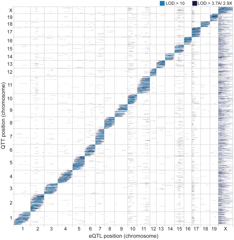 Genomic distribution of eQTL and QTT.