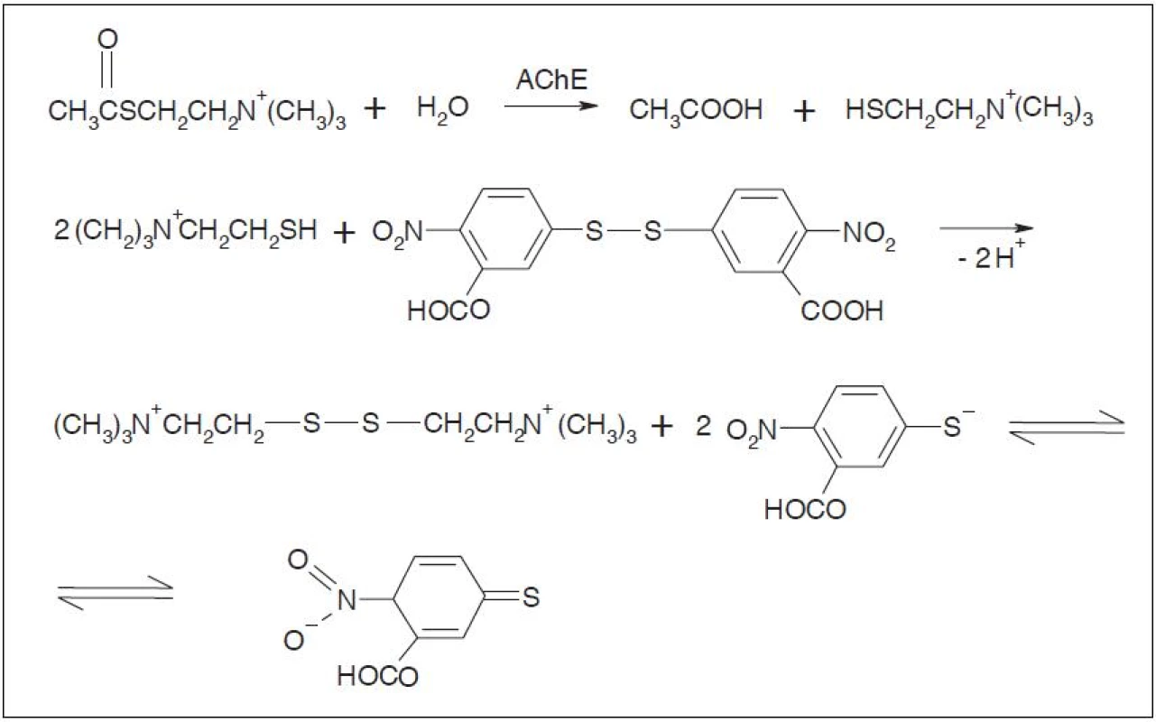 Hydrolýza substrátu a reakce thiocholinu s Ellmanovým činidlem<sup>1)</sup>