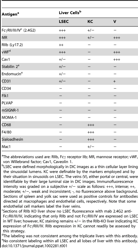 Endothelial and macrophage markers employed to distinguish LSEC from KC by immunofluoresence in mouse liver sections.