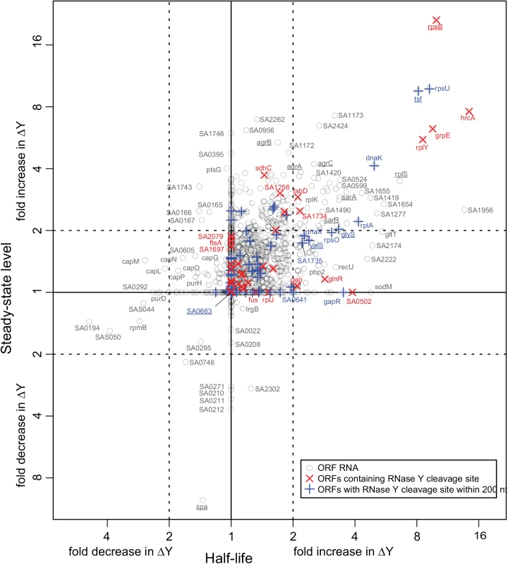 Correlation between changes in half-lives and steady-state levels.