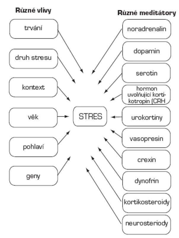 Ovlivnění a mediátory stresu (15)