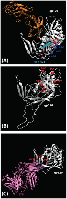 Mapping of signature sites (red) on the three-dimensional structure of gp120 (silver).