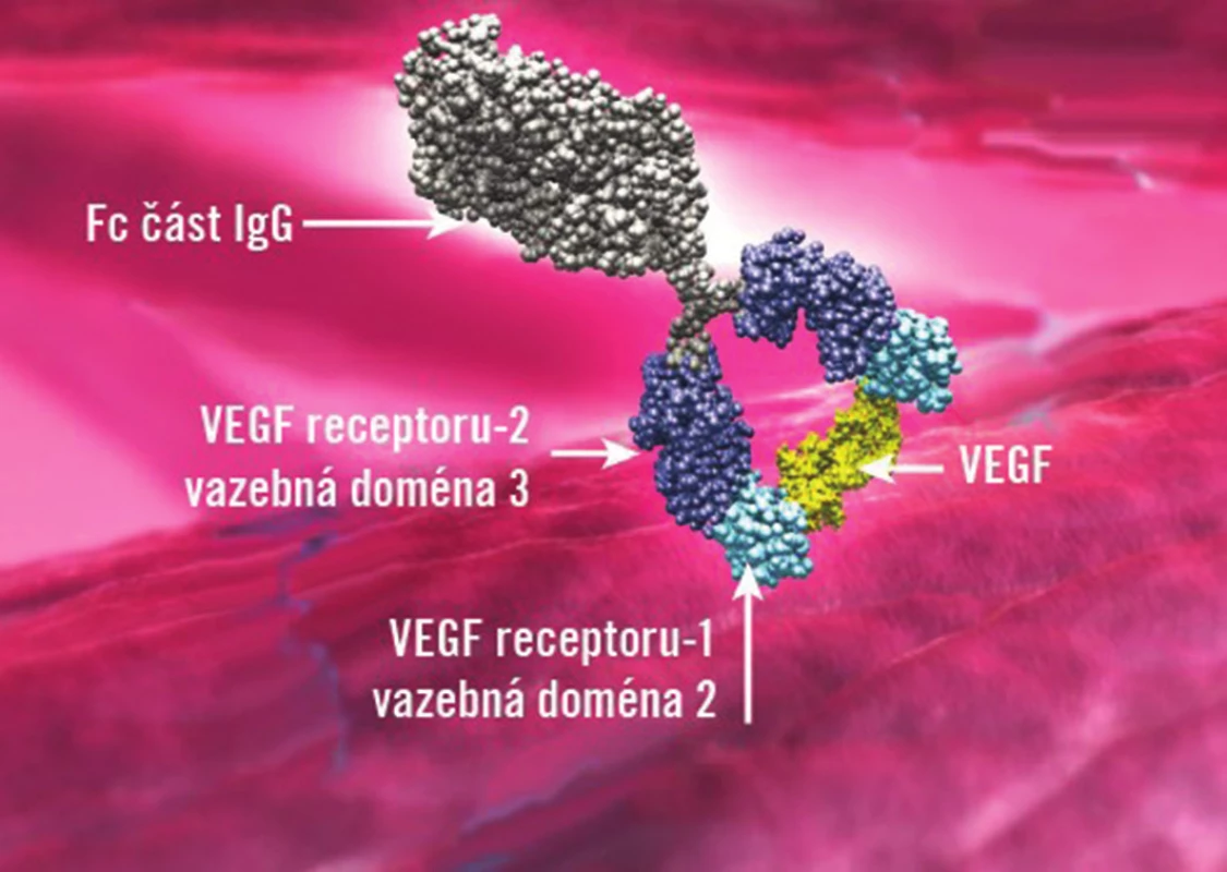 Vychytání molekuly VEGF na vazebné domény receptoru VEGFR1 a VEGFR2, které jsou součástí molekuly afliberceptu (se svolením Bayer HealthCare převzato z Ophthalmologic Drugs Advisory Committee: VEGF Trap-Eye briefing document. Tarrytown, NY: Regeneron Pharmaceuticals Inc.; June 17, 2011).