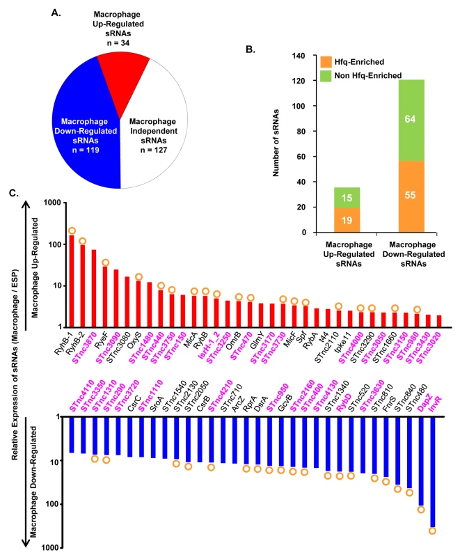 Intra-macrophage expression profile of <i>Salmonella</i> sRNAs.