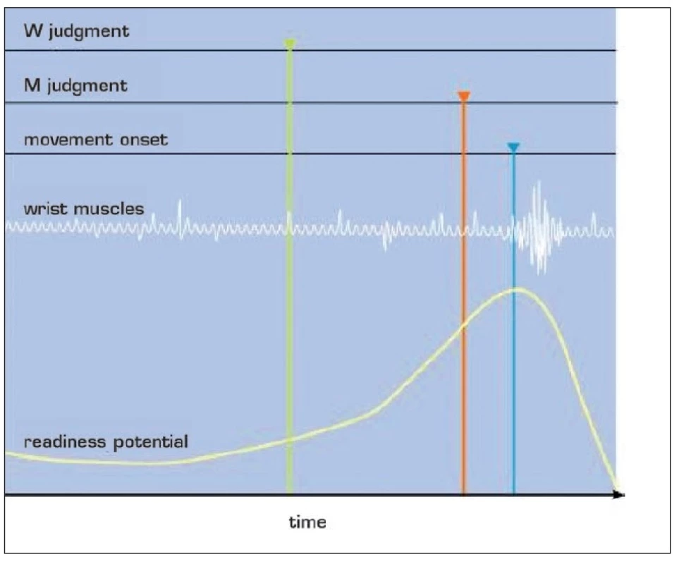 Potenciál připravenosti (Bereitschaftspotential, readiness potential) (20)