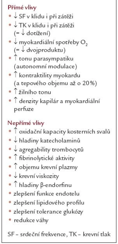 Vliv pravidelného aerobního tréninku.