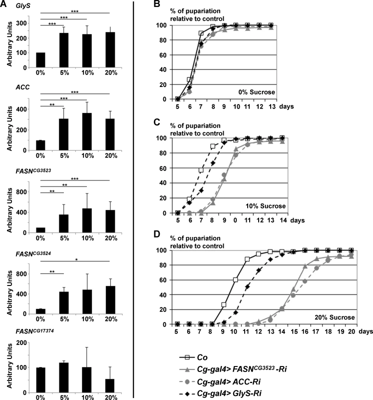 <i>GlyS</i>, <i>ACC and FASN</i><sup><i>CG3523</i></sup> expression is induced by and protects from dietary sugar.