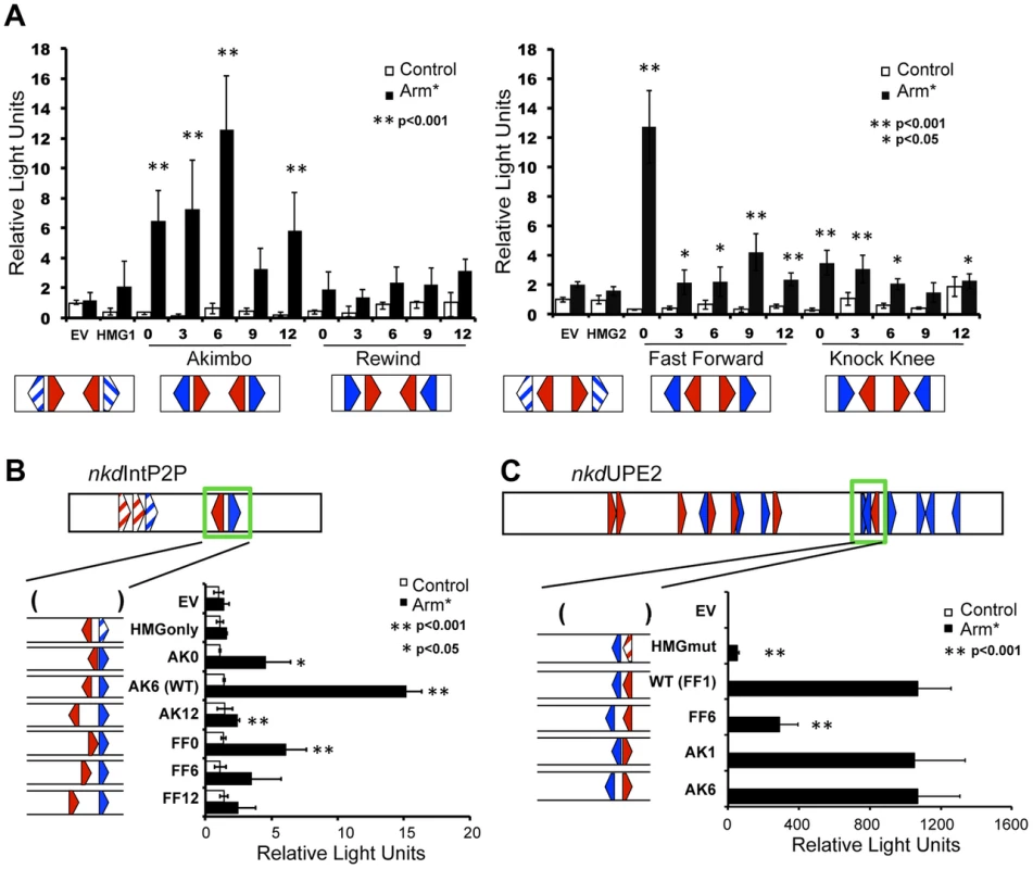 HMG-Helper pair configuration preferences in cell culture reporter assays.