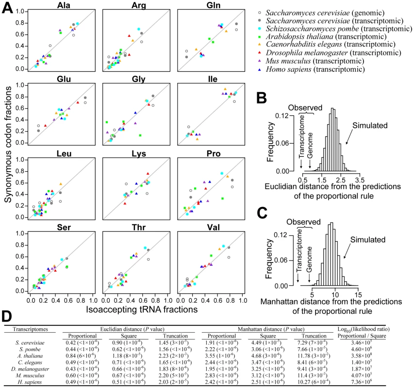 Synonymous codons are used in proportion to cognate tRNA concentrations.
