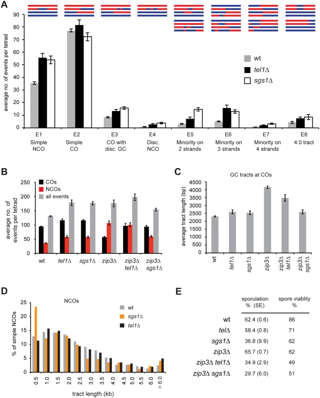<i>tel1Δ</i> and <i>sgs1Δ</i> show distinct recombination phenotypes.
