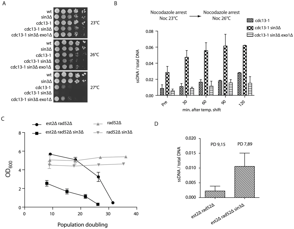 Rpd3 promotes telomere end protection.