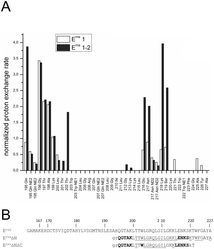 Comparison of the proton exchange rates of E<sup>rns</sup>ΔN and E<sup>rns</sup>ΔNΔC.