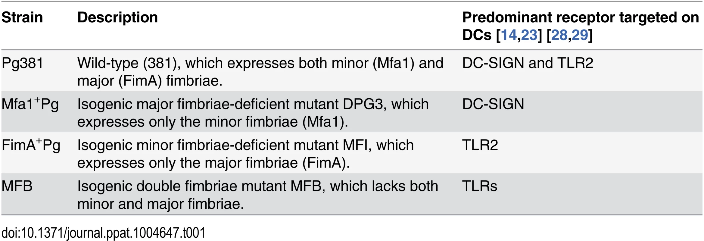<i>P. gingivalis</i> wild type and isogenic fimbriae deficient mutants.