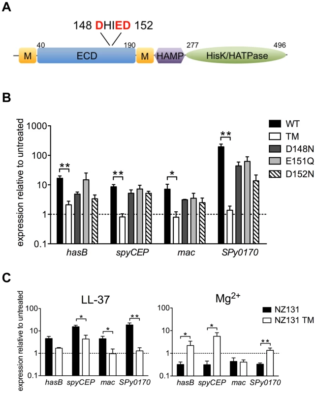 LL-37 and Mg<sup>2+</sup> signaling of CsrRS-regulated genes involves a cluster of negatively charged amino acid residues located in the CsrS extracellular domain.