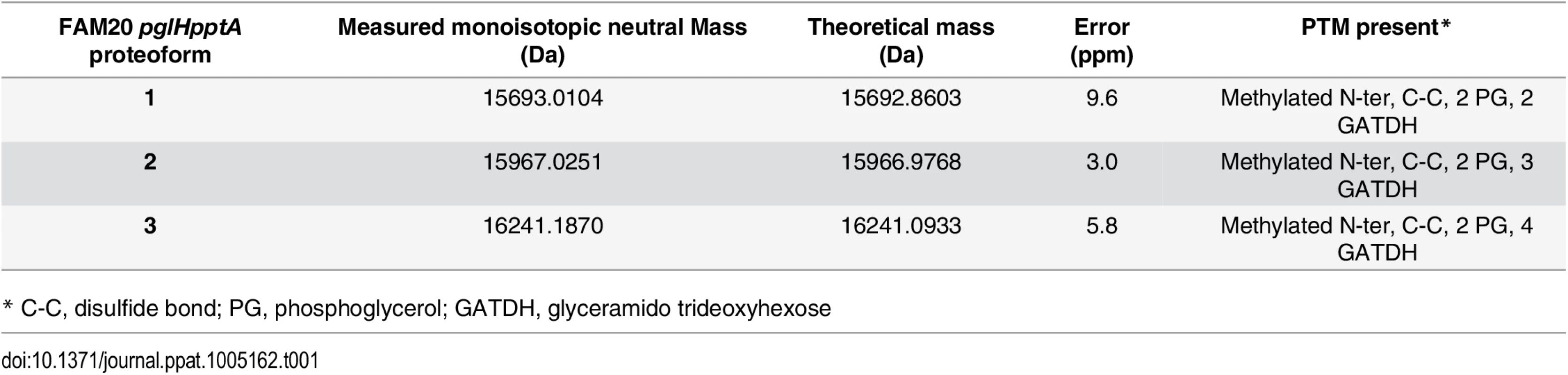 Measured neutral monoisotopic masses of PilE proteoforms from the FAM20<i>pglHpptA</i> double mutant and comparison with theoretical masses calculated from the FAM20 sequence plus indicated PTMs.