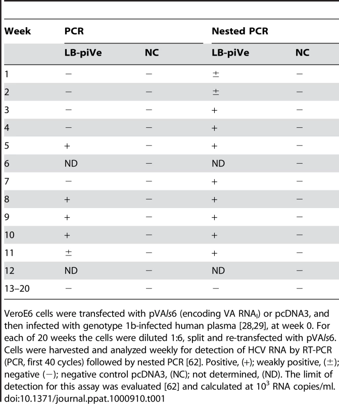 HCV persistent infection in VeroE6 cells.