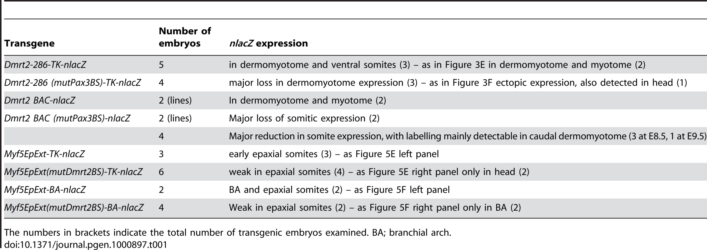 Transient transgenic embryos and lines (where indicated) (at E9.5, unless otherwise indicated).