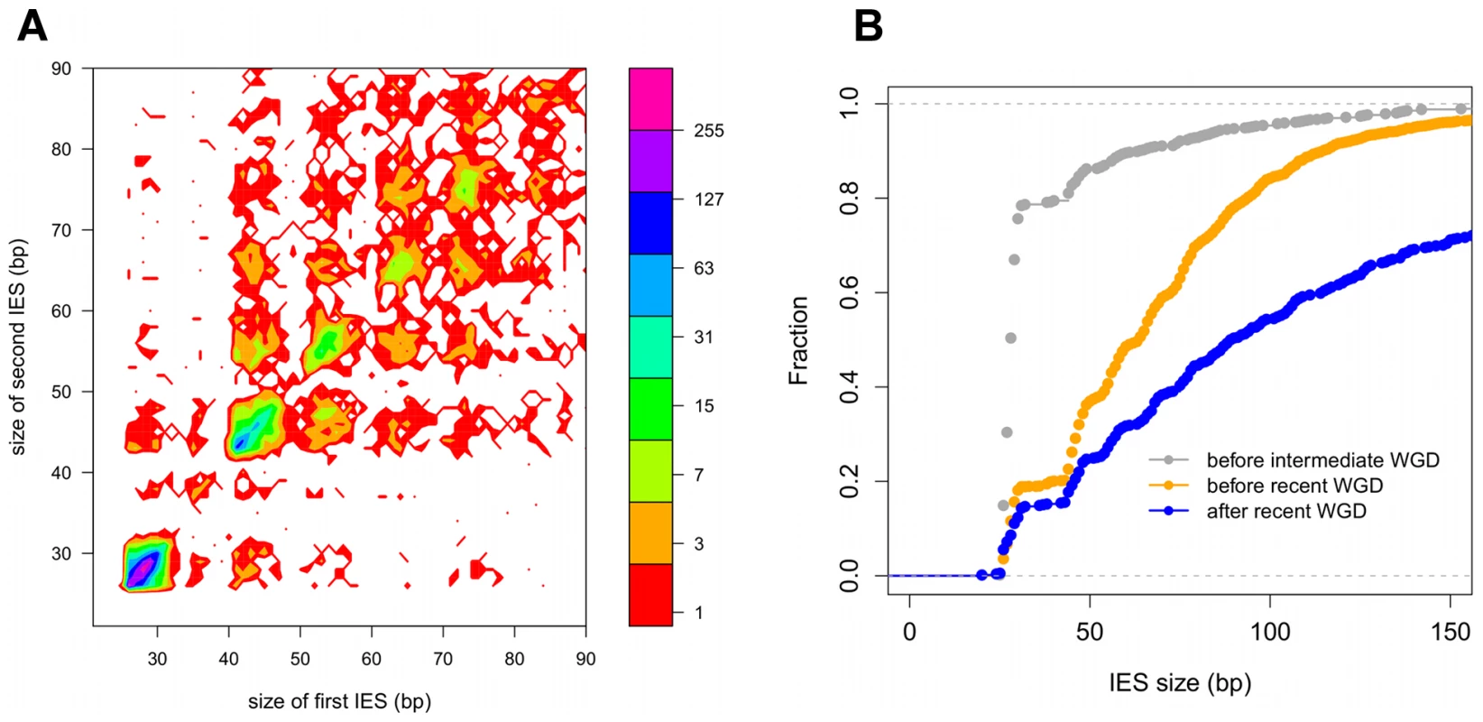 IES conservation in genes related by WGD.
