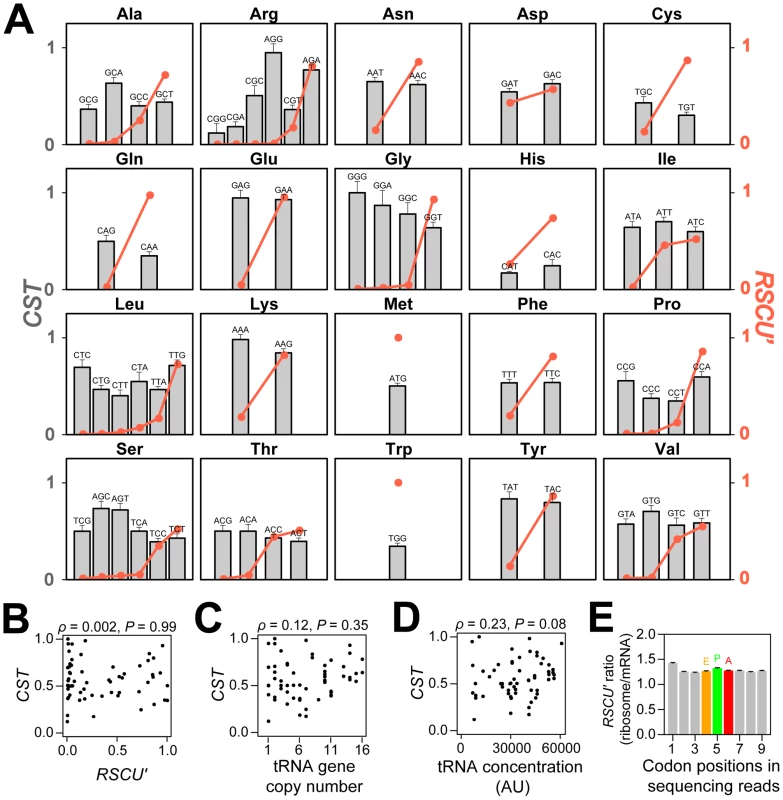 Relative codon selection times (<i>CST</i>s) in wild-type yeast cells in rich media.