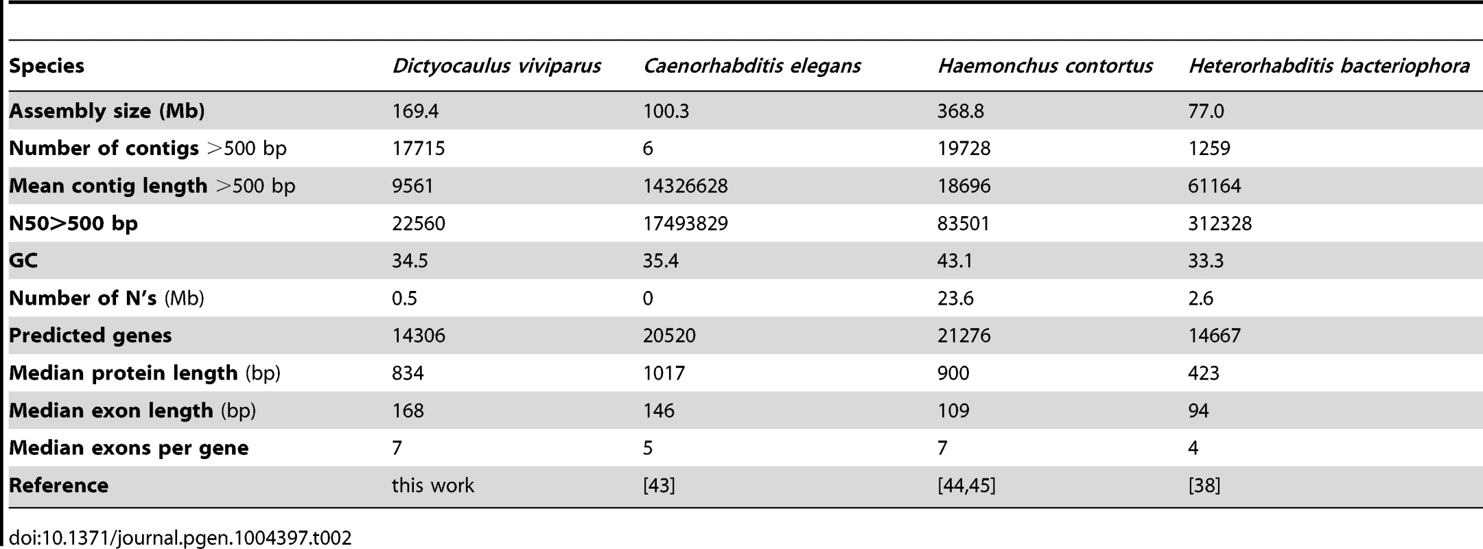 Genome assembly and annotation metrics of <i>D. viviparus</i> and other Rhabditina species.