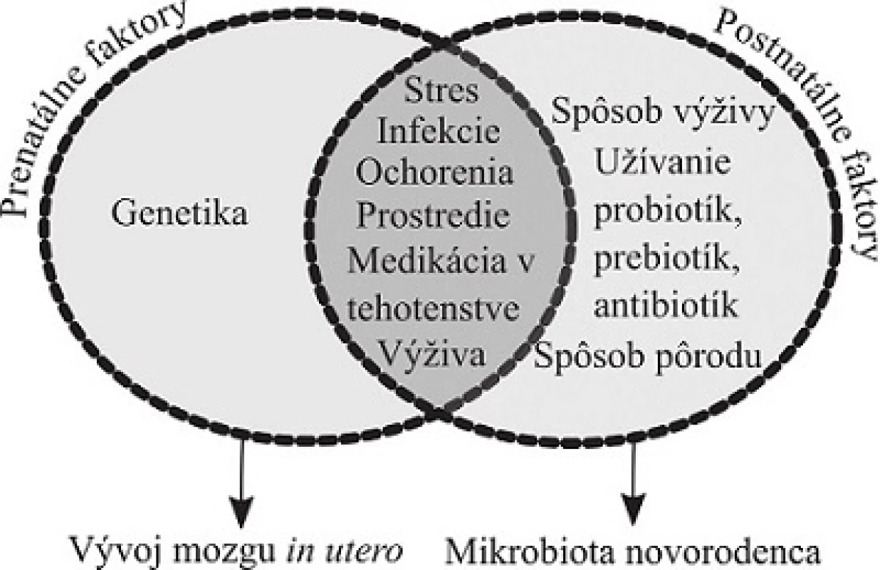 Vplyvy na os mikrobiota-črevo-mozog v perinatálnom období. Viaceré faktory ovplyvňujúce črevnú mikrobiotu matky môžu ovplyvniť vývoj mozgu in utero cez mikrobiálne
metabolity, metabolity liečiv a zápalové zmeny. Postnatálne je črevná mikrobiota silno ovplyvnená spôsobom pôrodu a výživy (podľa Mayer a kol.<sup>4)</sup>)