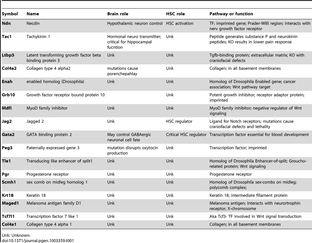 Genes present in the autism interactome, the ataxia interactome, and the HSC fingerprint.
