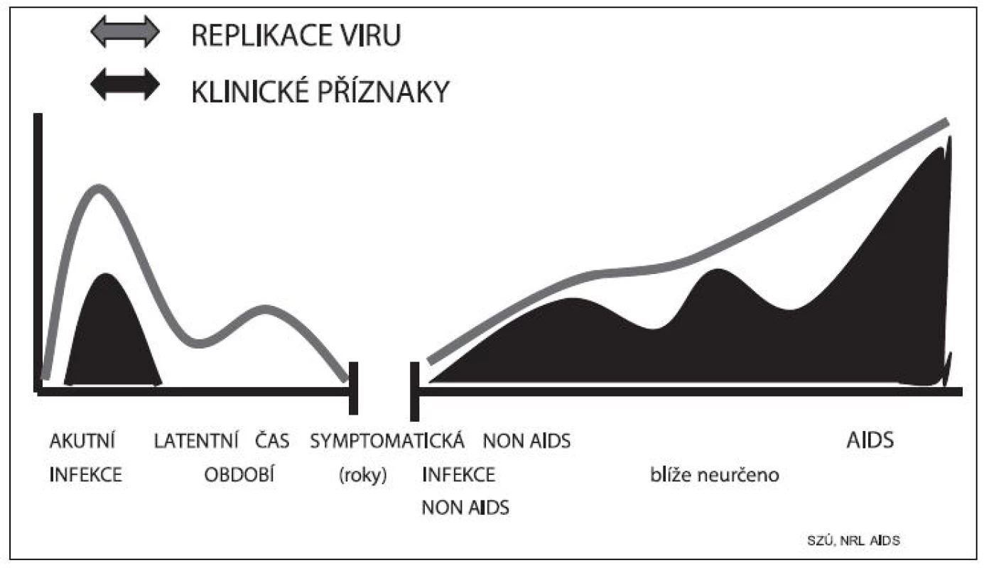 Průběh infekce HIV
Fig. 7. Course of HIV infection