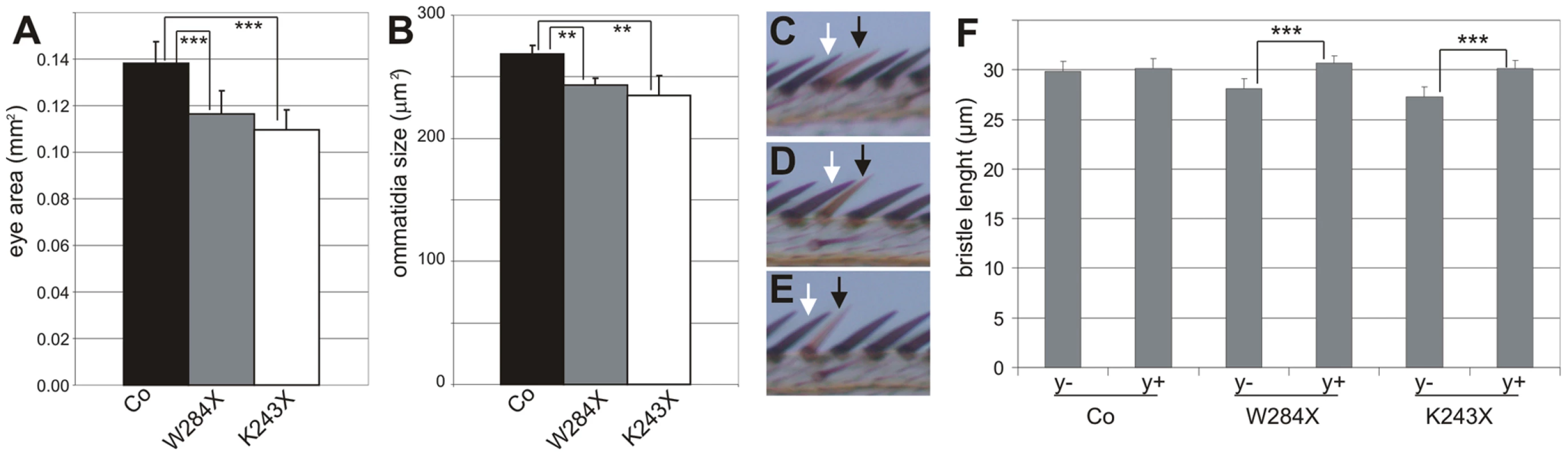 Growth defect in DHR3 LBD mutant cells.