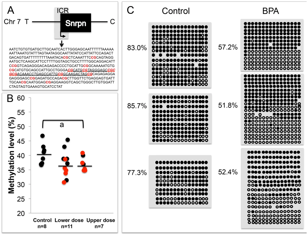 Analysis in control and upper dose BPA exposed placentas indicated that exposure significantly reduced methylation.