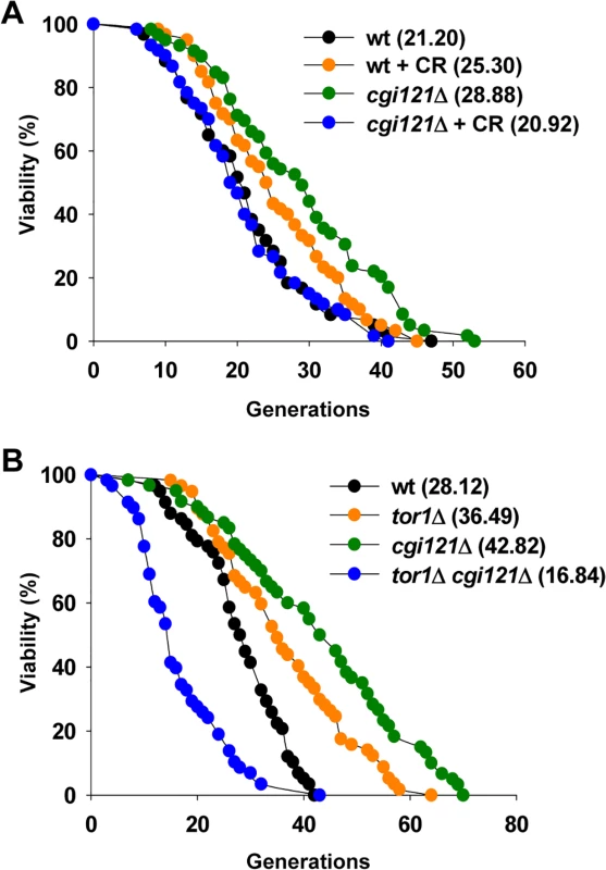 CR shortens lifespan of <i>cgi121</i>Δ mutant.