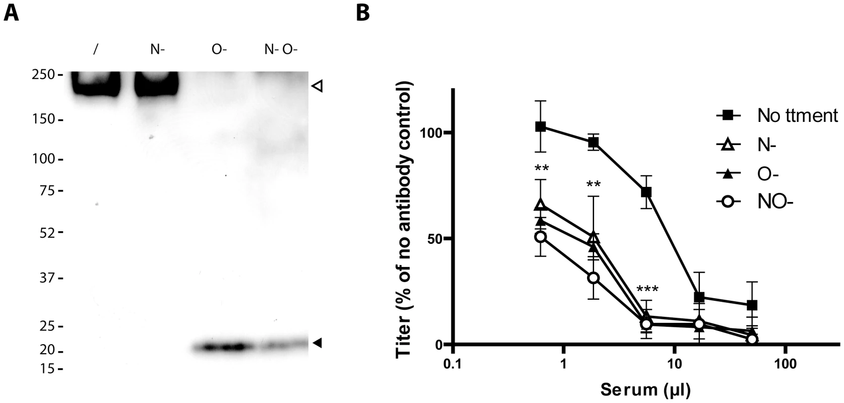 Glycosylation of BoHV-4 gp180 and importance of BoHV-4 glycans in neutralization evasion.