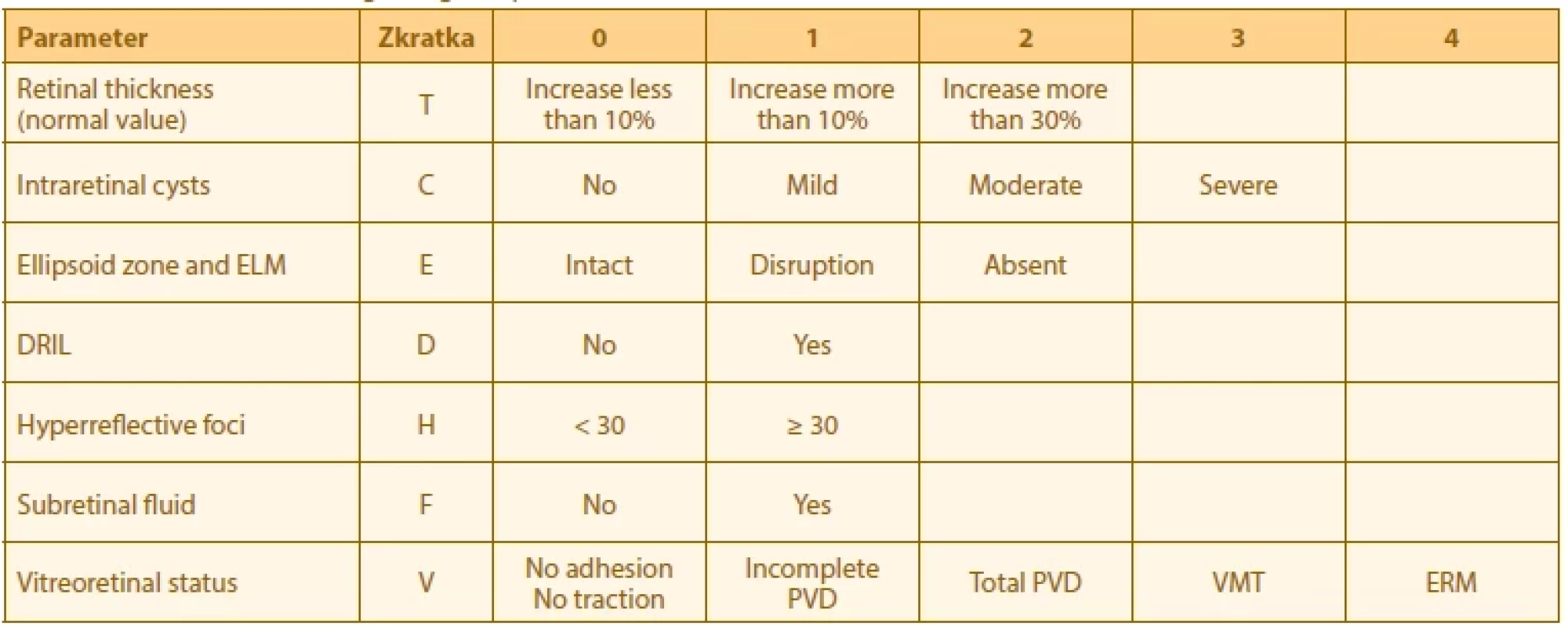 TCED-HFV DME score/grading. Adapted from Panozzo et al [2]