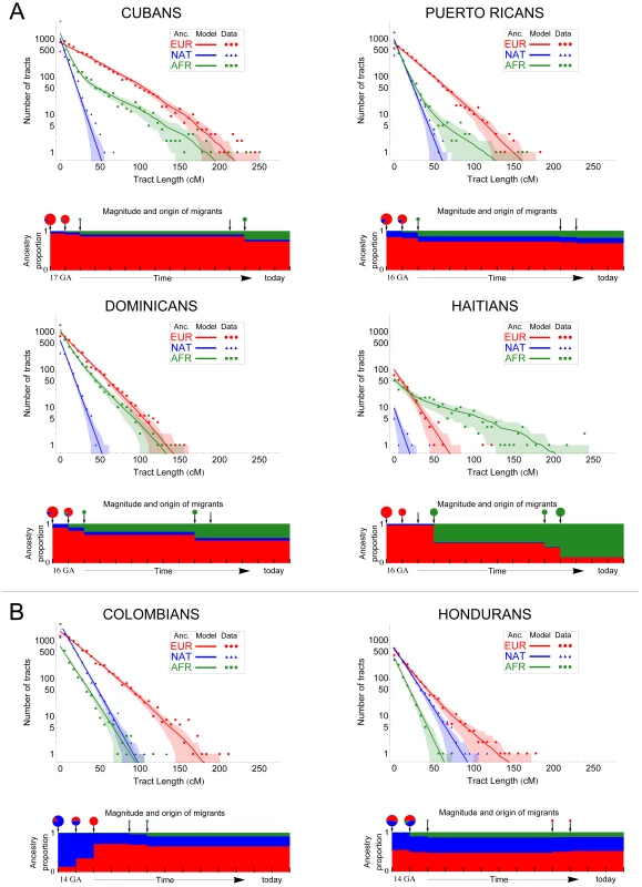 Demographic reconstruction since the onset of admixture in the Caribbean.