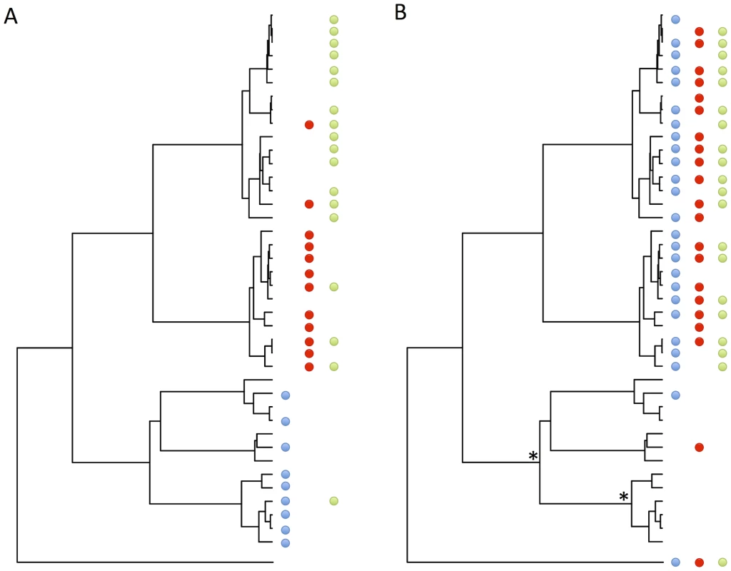 Examples of how patterns of host shifts can affect the distribution of pathogens across the host phylogeny.