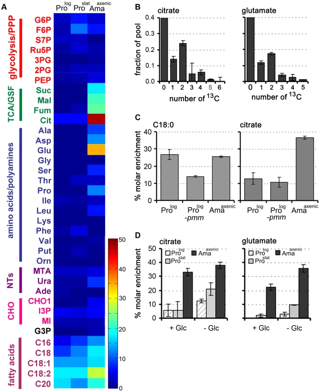 Fatty acid β-oxidation is increased in <i>L. mexicana</i> Ama<sup>axenic</sup>.