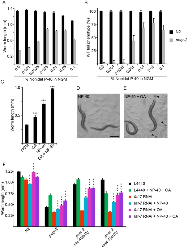 Detergents and oleic acid can suppress the <i>paqr-2</i> mutant phenotypes.