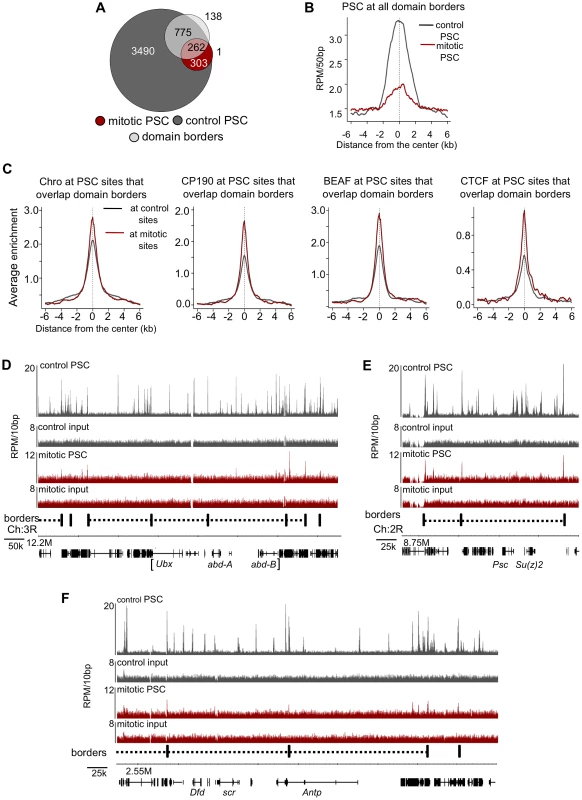 PSC preferentially binds domain borders in mitosis.