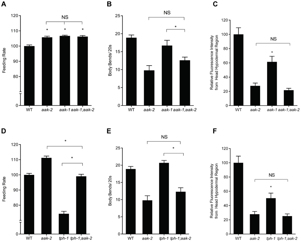 Effects of losses of <i>aak-1</i> and <i>tph-1</i> on <i>aak-2</i> mutant phenotypes.