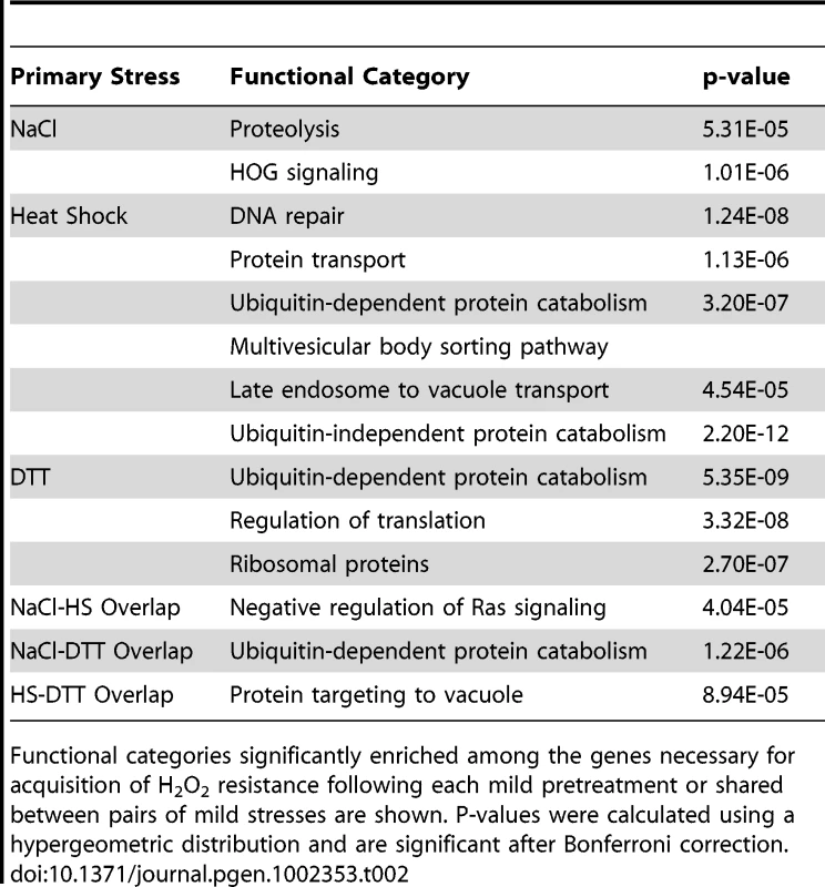 Functional enrichments in genes necessary to acquire H<sub>2</sub>O<sub>2</sub> tolerance.