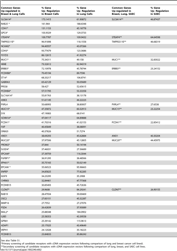 Gene products up-regulated in susceptible breast, lung, and SAEC cell lines compared to non-susceptible cells.