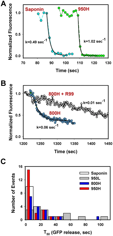 Analysis of the rate of NC-eGFP release from single viruses fusing with endosomes.
