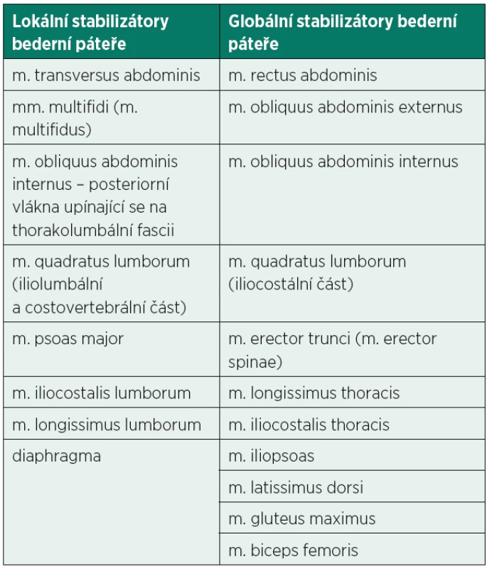Lokální a globální stabilizátory bederní páteře (30, 40).